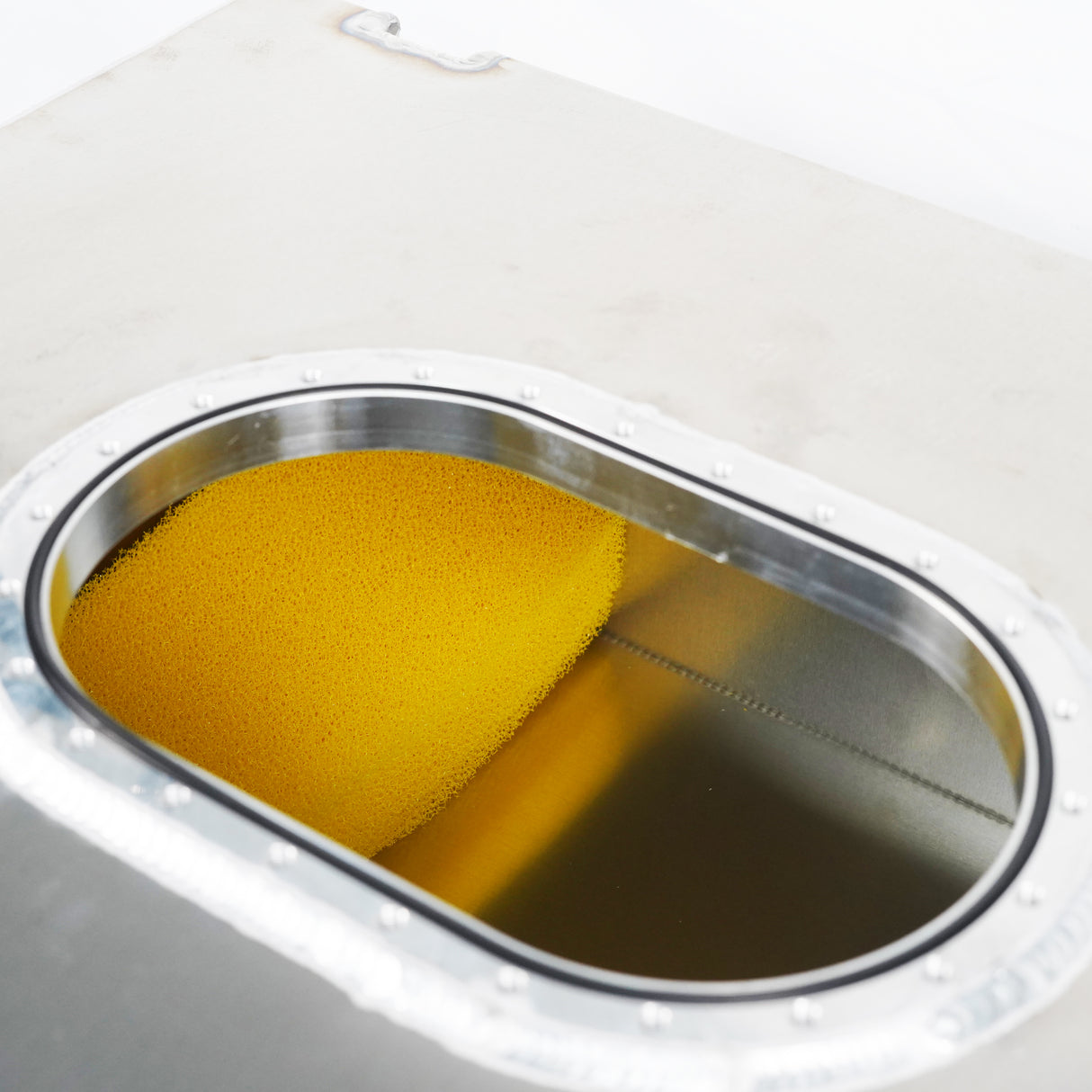 Demon Pro 60L Fuel Cell with Intank Triple Pump Surge Tank