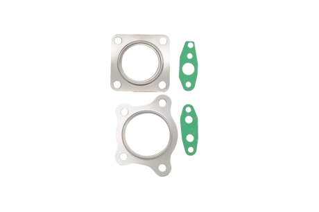 BT-VIEZ gasket set