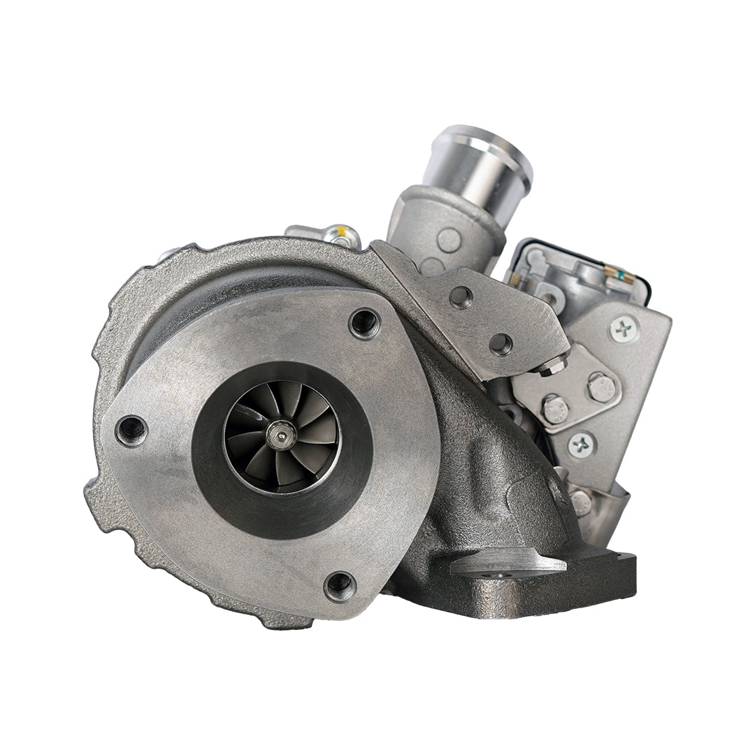 S1-787556 product image 5