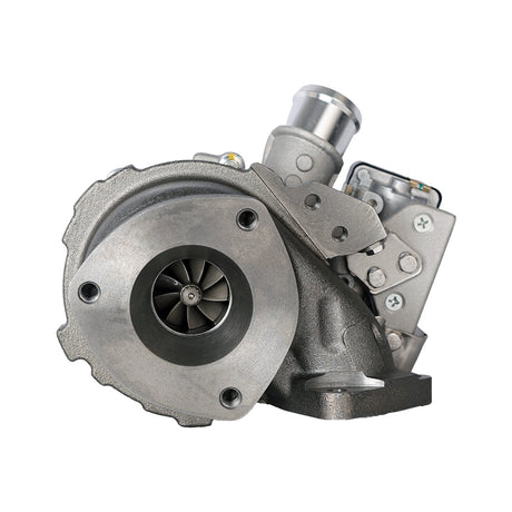 S1-787556 product image 5